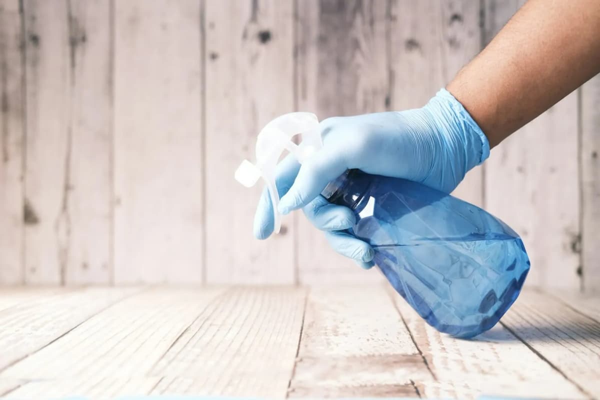 Professional cleaning team